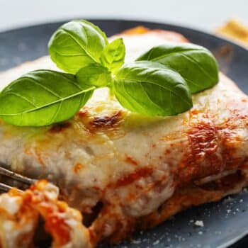 Cheesy Chicken Lasagna Recipe
