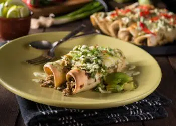 Healthy Paleo Chicken Enchiladas With Guacamole