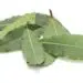 Aromatic Bay Leaves