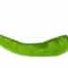 Green chili pepper
