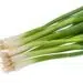 Green Onions Isolated On White