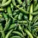 Serrano Peppers In A Pile At The Farmers Market